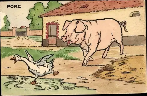 Ak Porc, Schwein verfolgt eine Gans