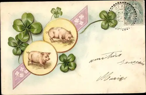 Ak Ansicht von Schweinen und Kleeblättern, Kitsch