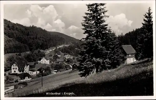 Ak Wildenthal Eibenstock im Erzgebirge, Panorama