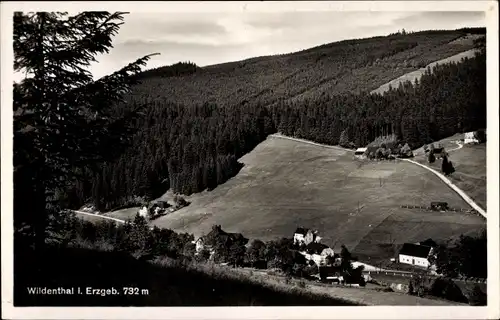 Ak Wildenthal Eibenstock im Erzgebirge, Panorama, Berge