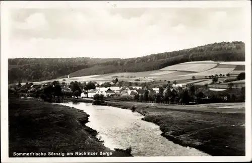 Ak Sörnzig Seelitz Sachsen, Gasthaus Sörnzig, Inh. Bellmann, Rochlitzer Berg