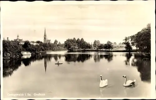 Ak Geringswalde Sachsen, Großteich, Schwäne