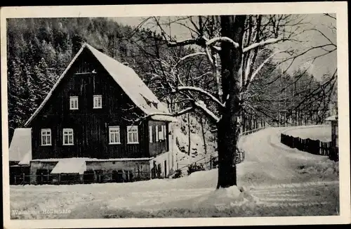 Ak Penig in Sachsen, Waldgasthaus Höllmühle, Winteransicht