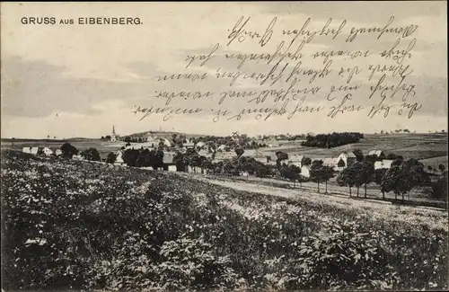 Ak Eibenberg Burkhardtsdorf im Erzgebirge Sachsen, Totalansicht