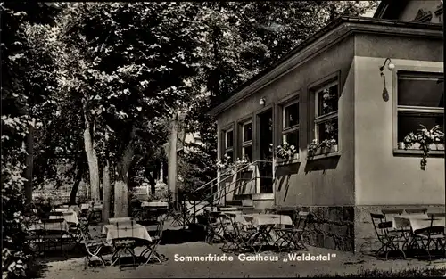 Ak Sonneberg Neusalza Spremberg in Sachsen, Gasthaus Waldestal