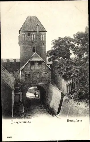 Ak Tangermünde an der Elbe, Rosspforte