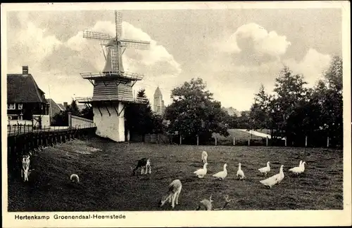 Ak Heemstede Nordholland, Groenendaal, Hertenkamp, Windmühle