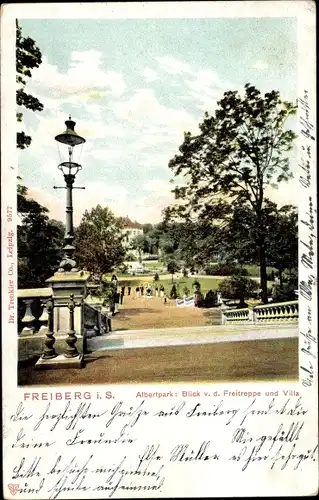 Ak Freiberg in Sachsen, Albertpark, Blick v. d. Freitreppe und Villa
