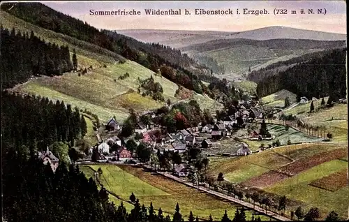 Ak Wildenthal Eibenstock im Erzgebirge, Totalansicht