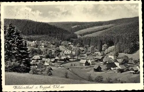Ak Wildenthal Eibenstock im Erzgebirge, Panorama