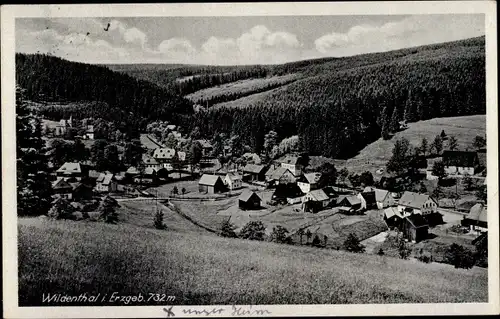 Ak Wildenthal Eibenstock im Erzgebirge, Panorama