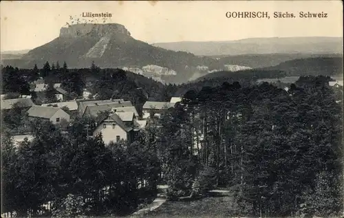 Ak Gohrisch Sächsische Schweiz, Teilansicht mit Lilienstein