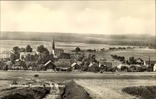 Ak Rosenthal Bielatal Sächsische Schweiz, Panorama