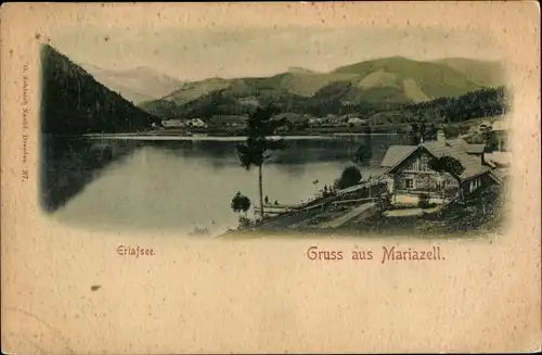 Ak Mariazell Steiermark, Erlafsee, Panorama