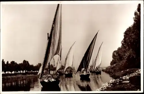 Ak Cairo Kairo Ägypten, Nile Sailing Boats