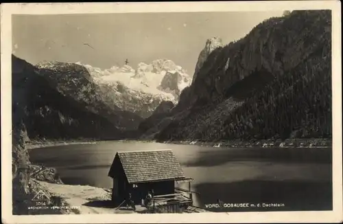 Ak Gosau in Oberösterreich, Gosausee, Dachstein