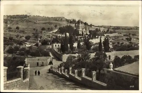 Ak Jerusalem Israel, Garten Gethsemane
