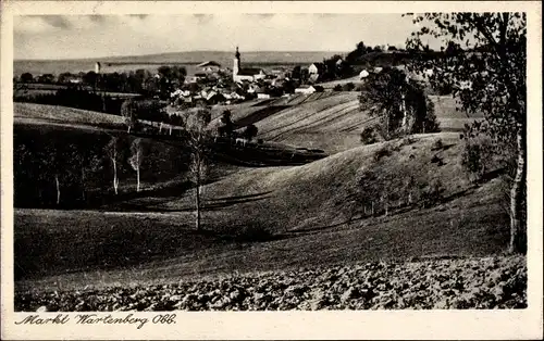 Ak Wartenberg Oberbayern, Totalansicht