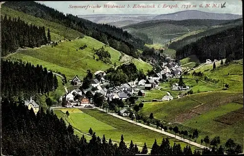 Ak Wildenthal Eibenstock im Erzgebirge, Talpanorama