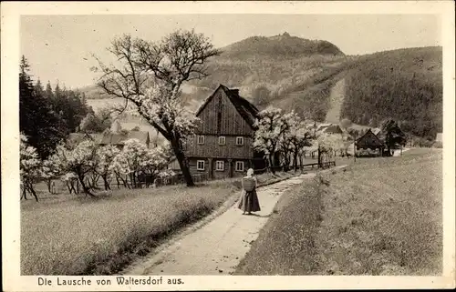 Ak Waltersdorf Großschönau Oberlausitz, Lausche, Ortspartie