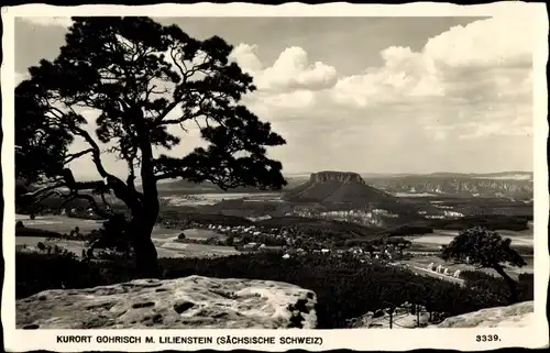 Ak Gohrisch Sächsische Schweiz, Blick zum Ort mit Lilienstein