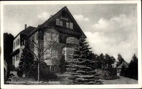 Ak Gohrisch Sächsische Schweiz, Erholungsheim Haidehof