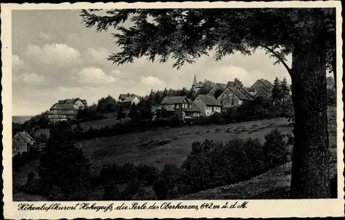 Ak Hohegeiß Braunlage im Oberharz, Teilansicht