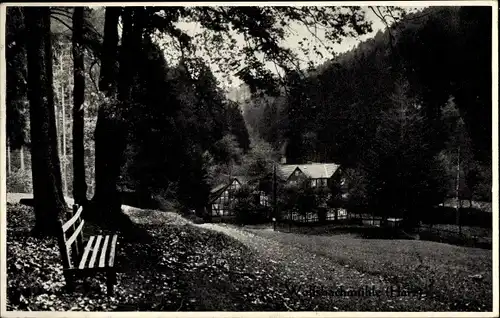 Ak Hohegeiß Braunlage im Oberharz, Talpartie, Gasthaus