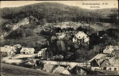 Ak Kaltenleutgeben in Niederösterreich, Panorama