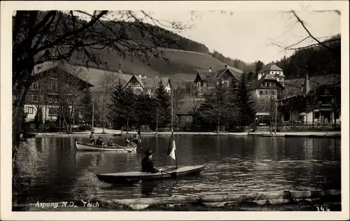 Ak Aspang Niederösterreich, Teich, Ruderboote