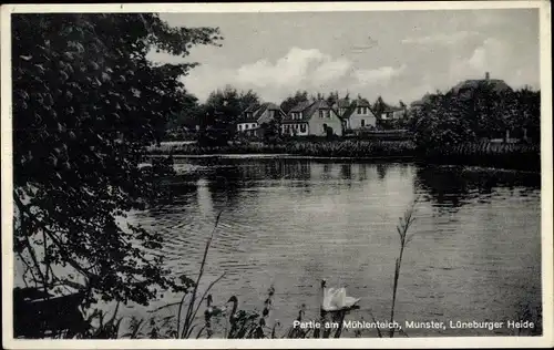 Ak Munster an der Örtze Lüneburger Heide, Partie am Mühlenteich