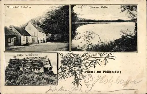 Ak Philippsbourg Philippsburg Lothringen Moselle, Ruine Falkenstein, Wirtschaft, Hanauer Weiher