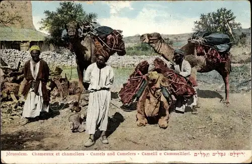 Ak Jerusalem Israel, Blick auf Kamele und deren Führer