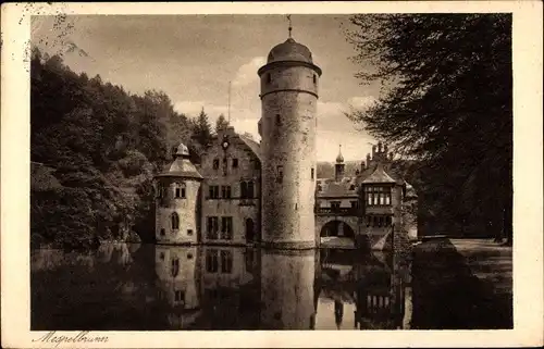 Ak Mespelbrunn im Spessart Unterfranken, Schloss