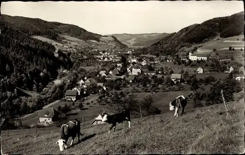 Ak Altsimonswald Simonswald im Schwarzwald, Totale, Kühe weiden