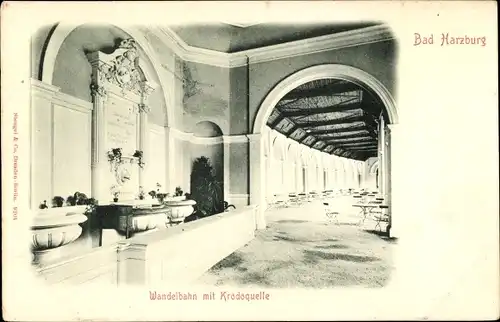 Ak Bad Harzburg am Harz, Wandelbahn mit Krodoquelle, Innenansicht