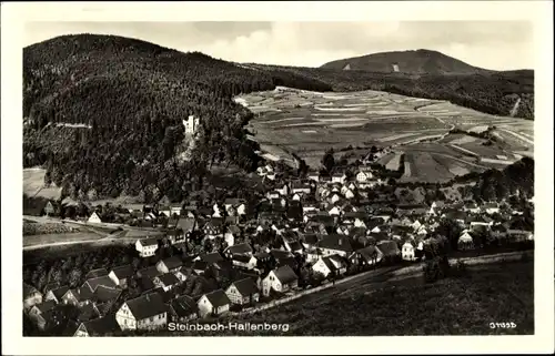 Ak Steinbach Hallenberg im Thüringer Wald, Panorama