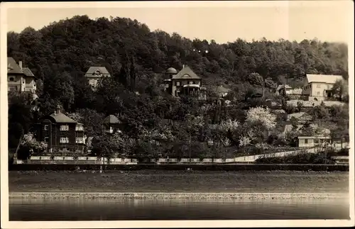 Ak Dresden Loschwitz?, Häuser am Elbufer