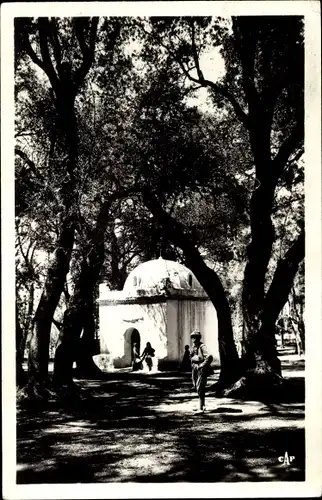 Ak Blida Algerien, Le Bots Sacre et le Marabout de Sidi Yacoub