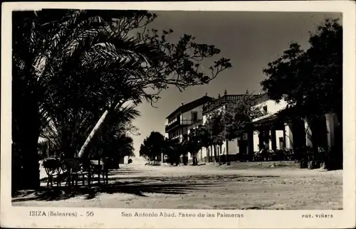 Ak San Antonio Abad Ibiza Balearische Inseln, Paseo de las Palmeras