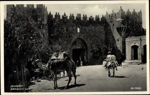 Ak Jerusalem Israel, Damascus Gate, Damaskustor, Kamel