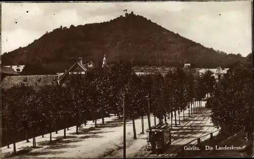 Ak Görlitz in der Lausitz, Blick auf die Landeskrone, Allee, Straßenbahn