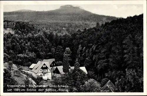Ak Krippen Bad Schandau an der Elbe, Krippengrund, Rölligmühle, Waldlandschaft