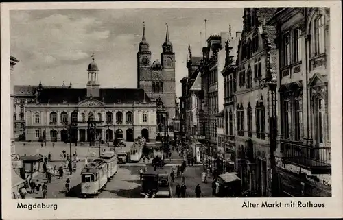 Ak Magdeburg, Alter Markt mit Rathaus, Straßenbahnen