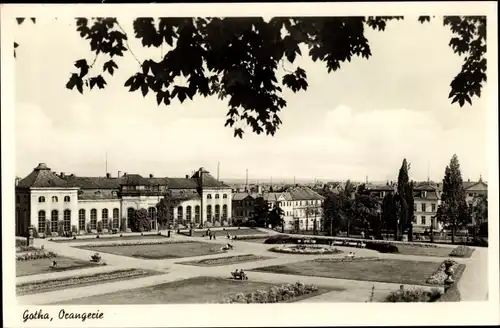 Ak Gotha in Thüringen, Orangerie