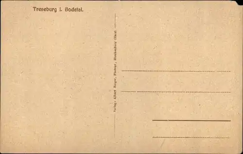 Ak Treseburg Thale im Harz, Hotel Wilhelmsblick, Hotel Forelle, Hotel Weißer Hirsch, Luftbild