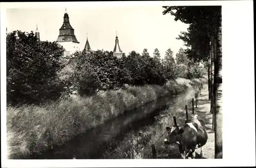 Ak Heel Limburg Niederlande, R. K. Gesticht St. Anna