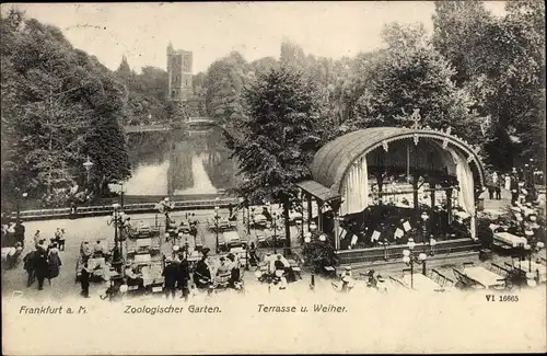 Ak Frankfurt am Main, Zoologischer Garten, Terrasse und Weiher