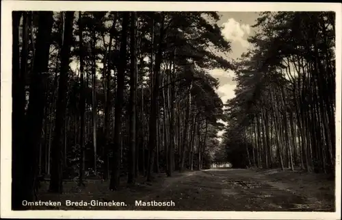 Ak Omstreken Breda Ginneken Nordbrabant Niederlande, Mastbosch