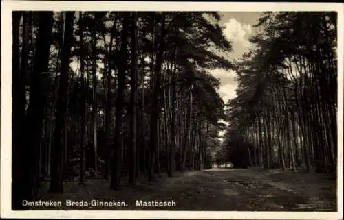 Ak Omstreken Breda Ginneken Nordbrabant Niederlande, Mastbosch